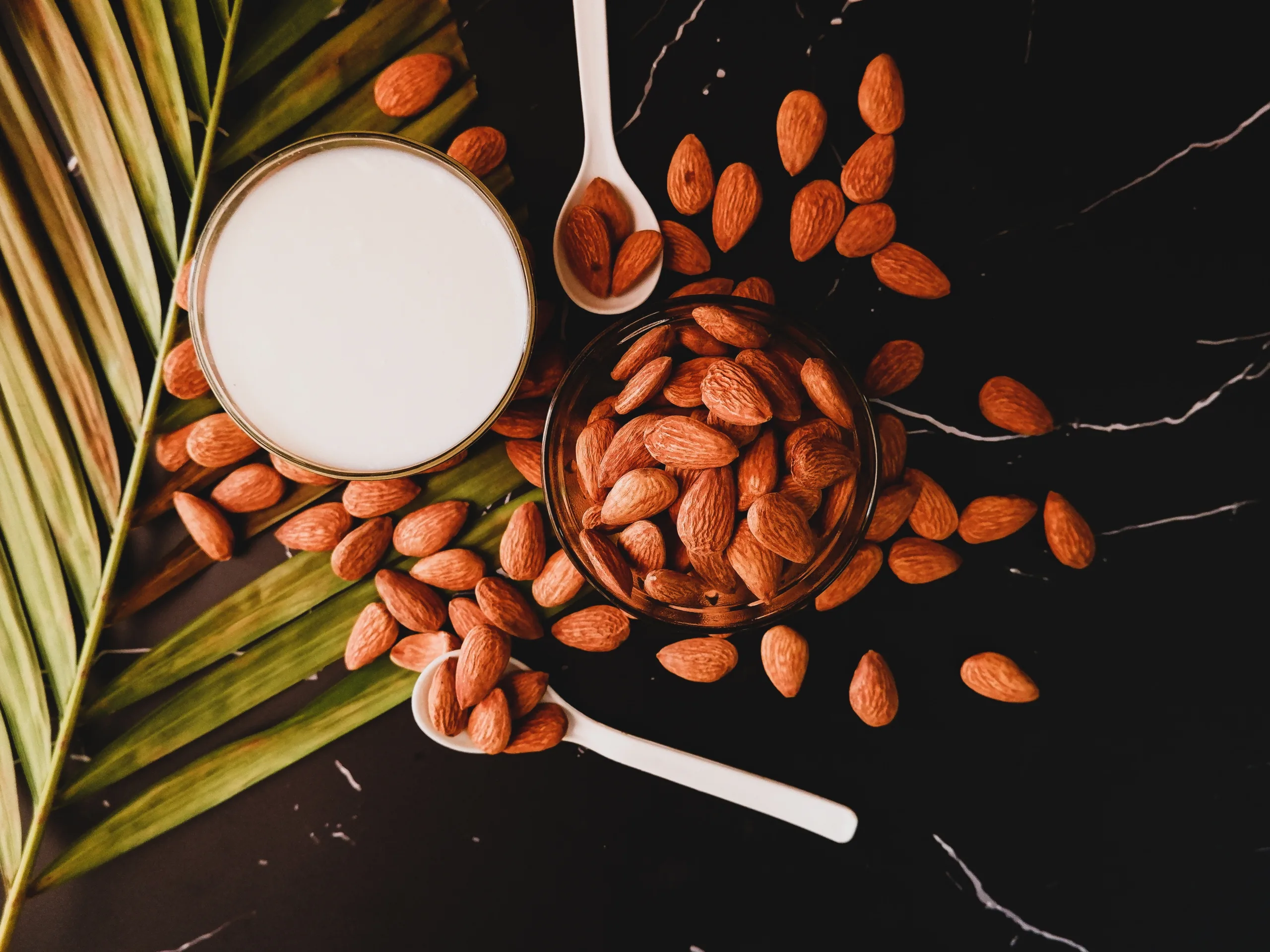 Almond milk feature image