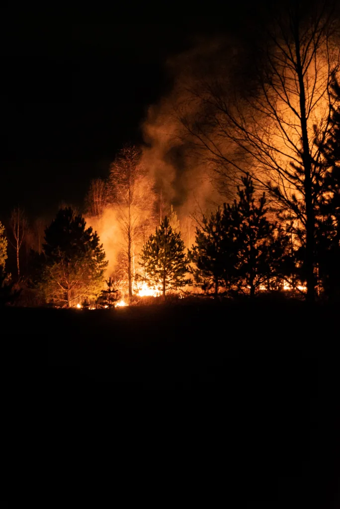 wildfire in Kelowna