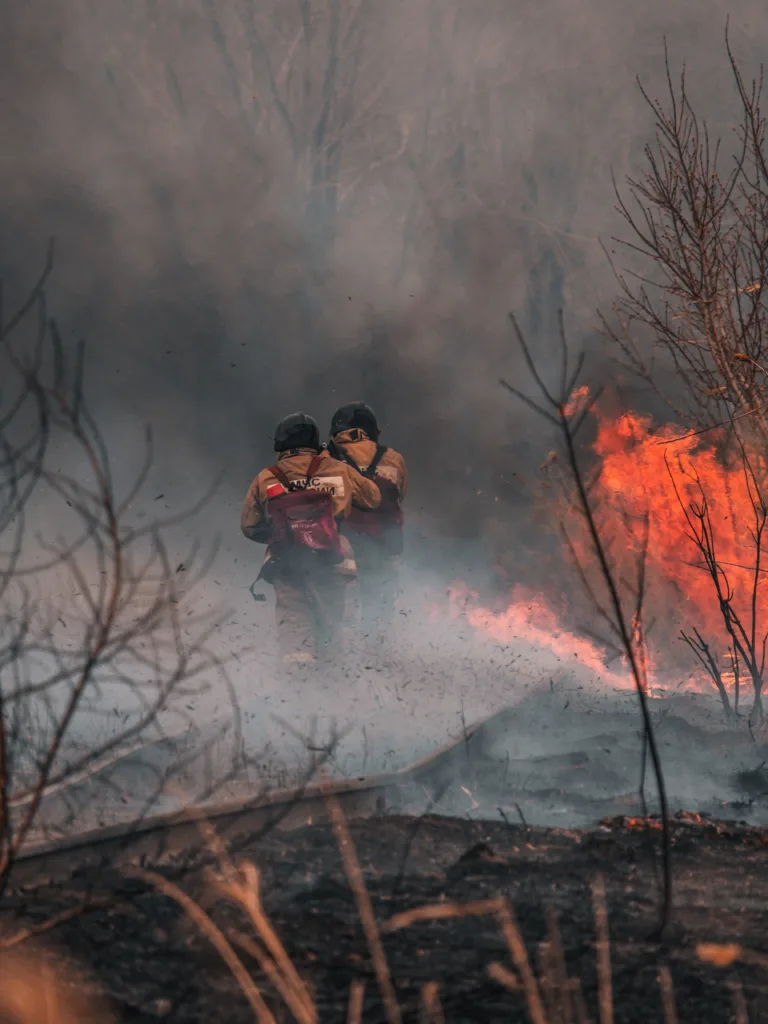 firefighters in forest fire
