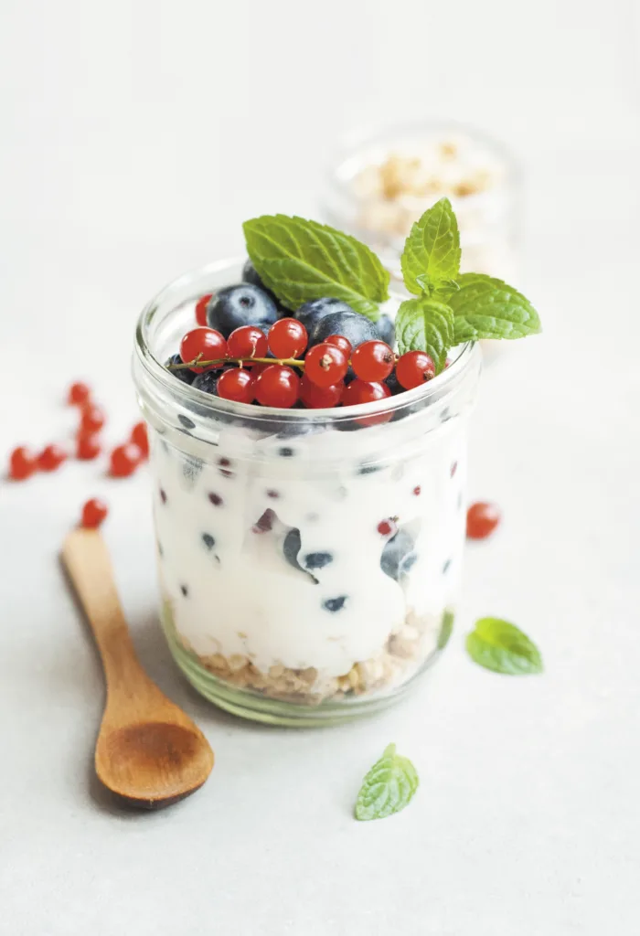 greek yogurt substitutes