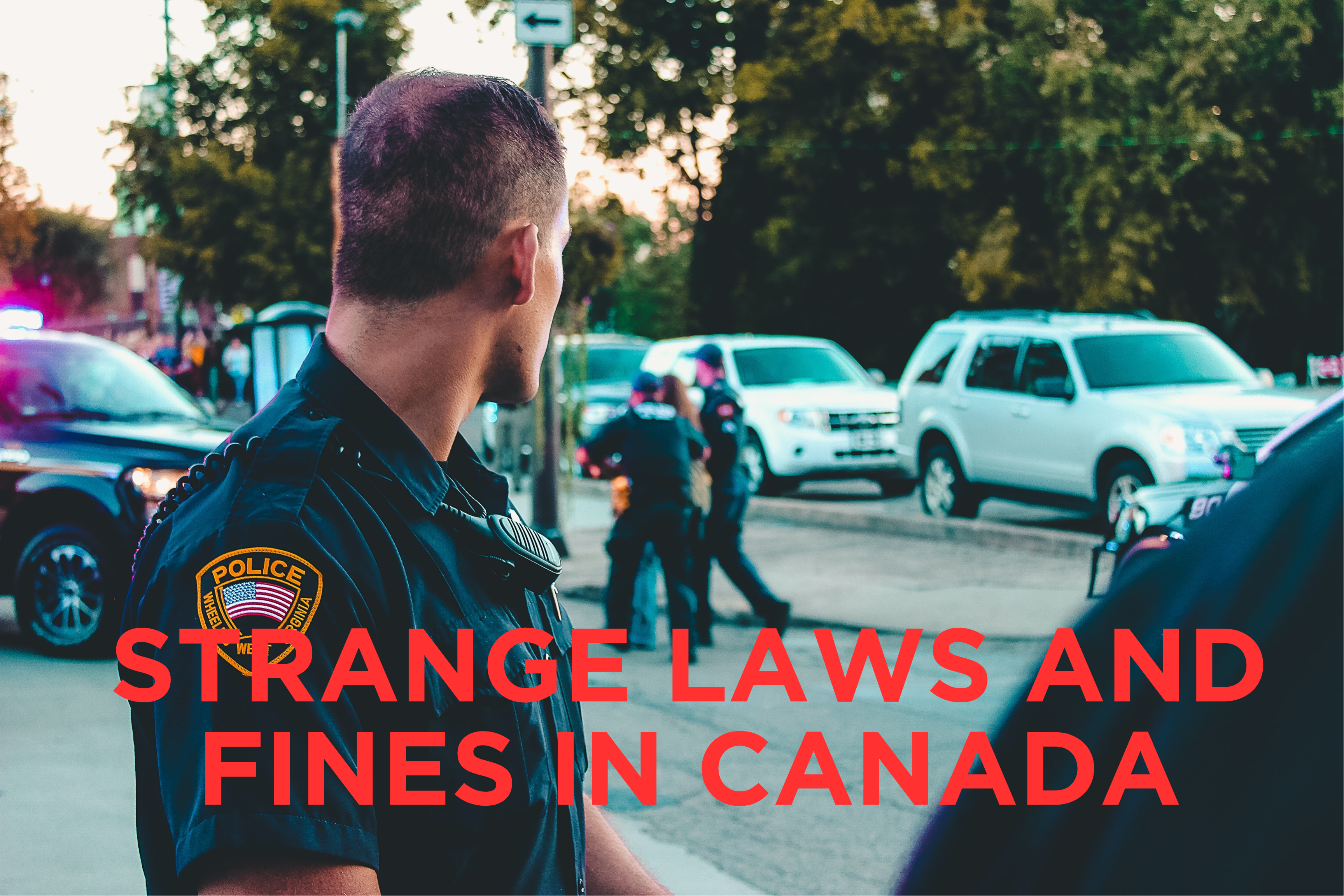 laws and fines